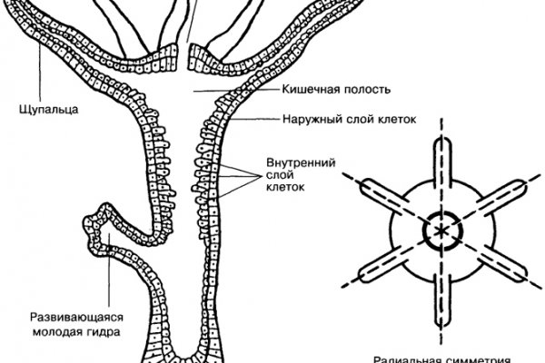 Кракен сайт официальный kraken014 com