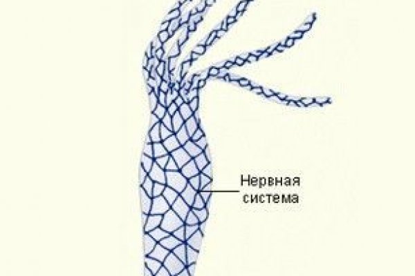 Кракен маркетплейс что