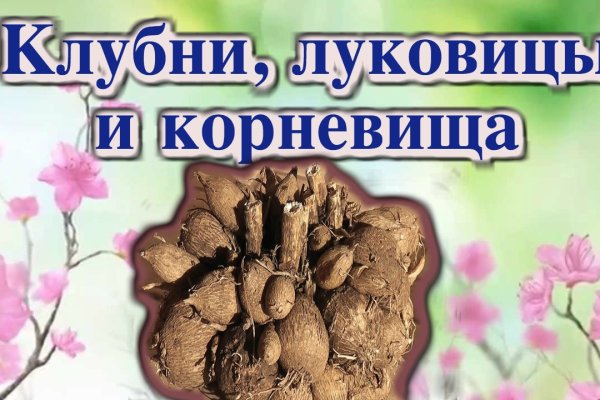Где найти ссылку кракен