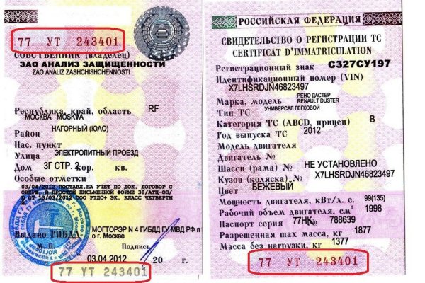 Официальный сайт даркнета