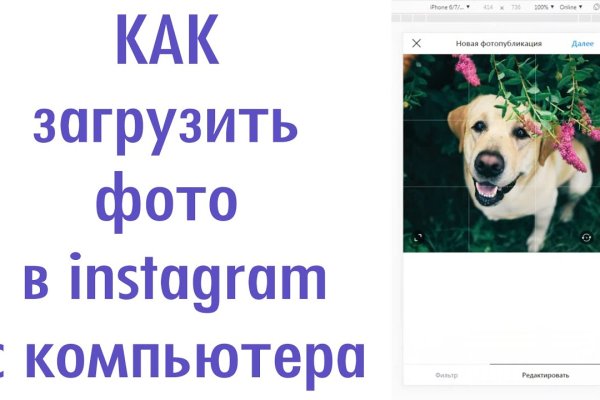 Kraken рабочий
