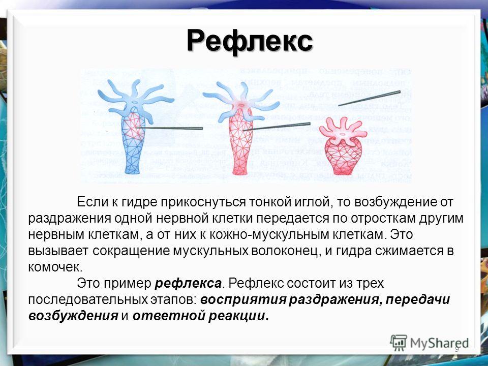 Kraken актуальный сайт
